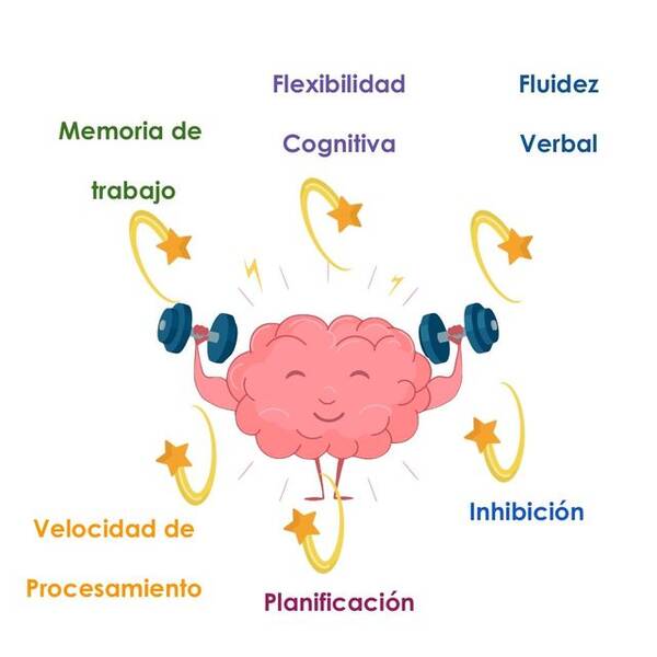 Cómo puede un adolescente mejorar su memoria y sus funciones cerebrales?