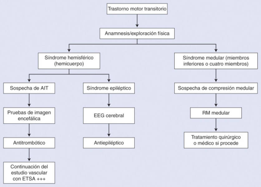 Características del tipo de personalidad epileptoide