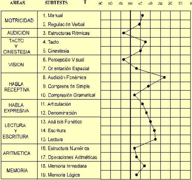 Memoria mecánica y lógica: características distintivas y formas de desarrollo
