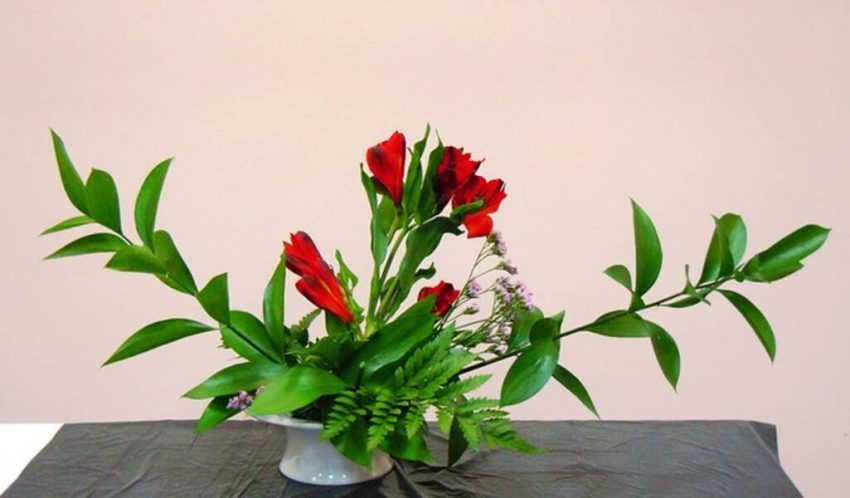 Ikebana: qué es, historia y reglas de creación