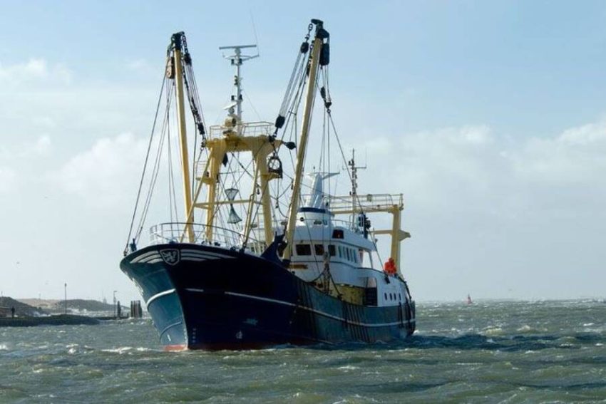 ¿Quién es y qué hace un tecnólogo en producción pesquera??