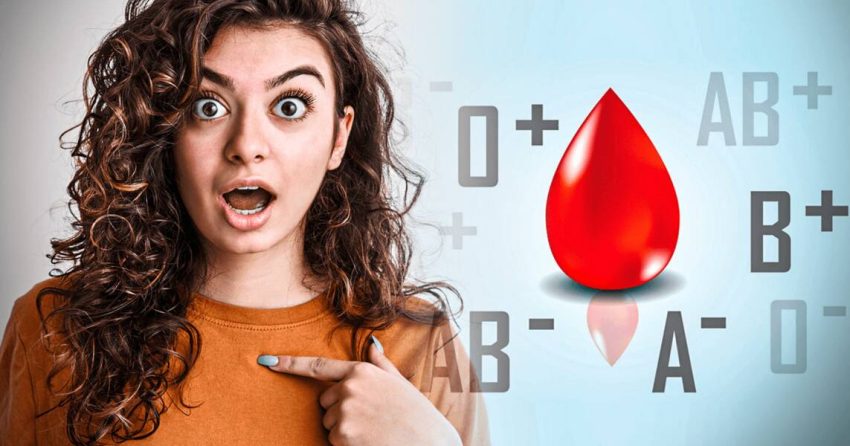 Compatibilidad por tipo de temperamento