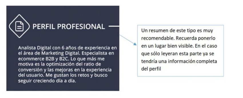 Qué cualidades profesionales deben figurar en un CV?