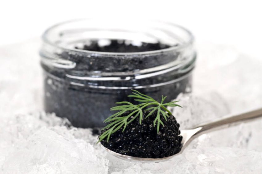 Cómo conservar el caviar negro?