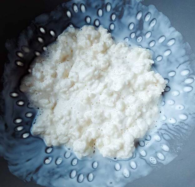 Conservación del kéfir