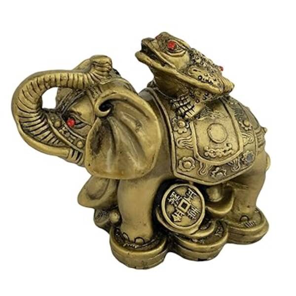 Feng Shui elefante: significado y reglas de colocación