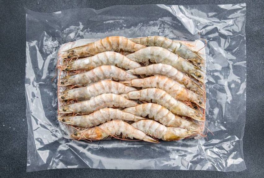 Conservación del marisco