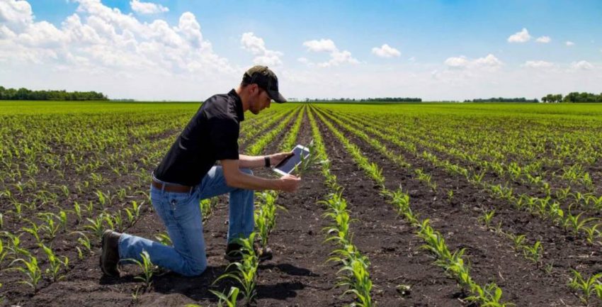 Profesiones relacionadas con la agricultura