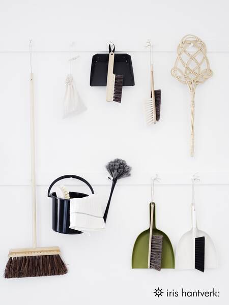 Todo sobre los cepillos para el polvo (pipidastrach)